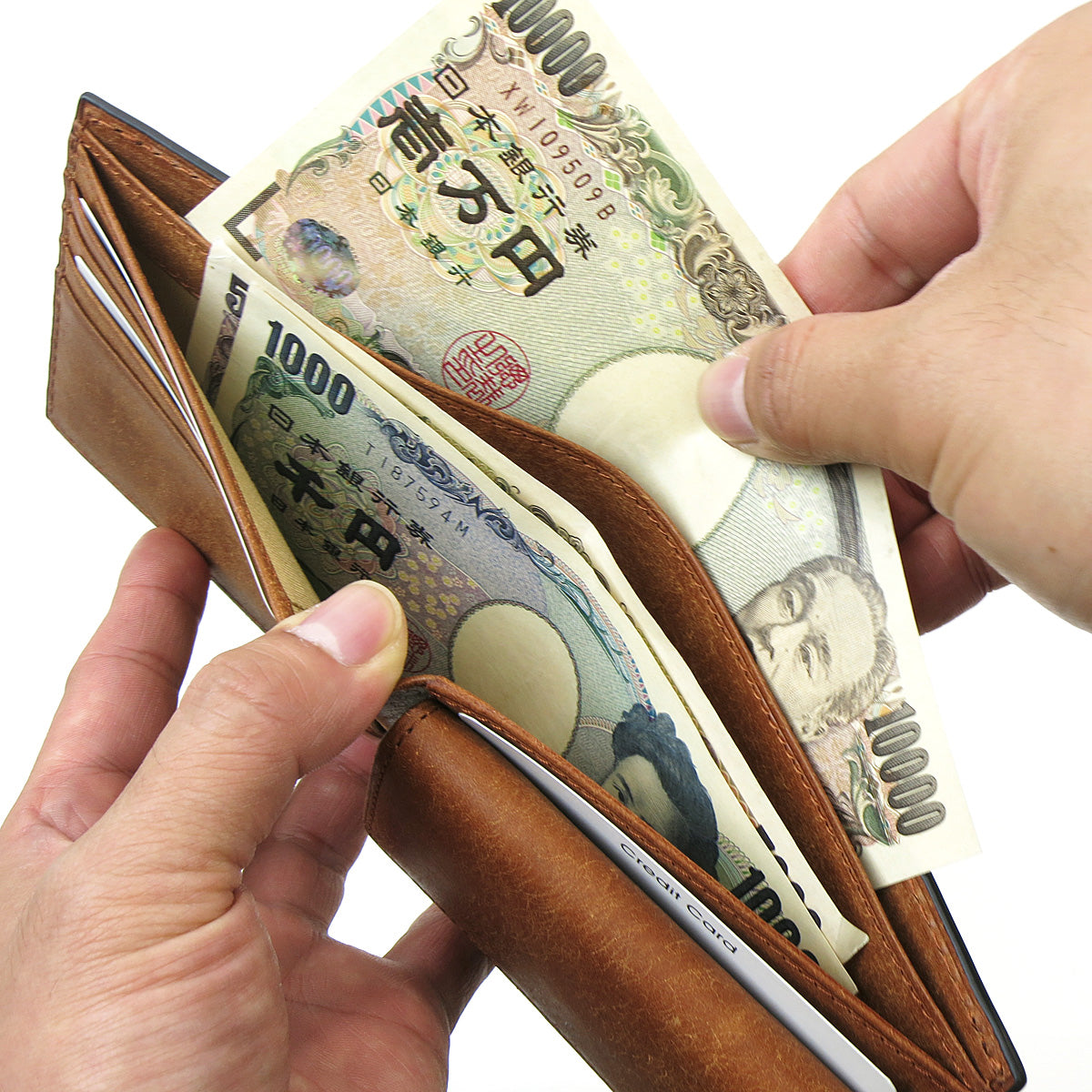 BUONA - Buona - Bifold Wallet ZYS2414