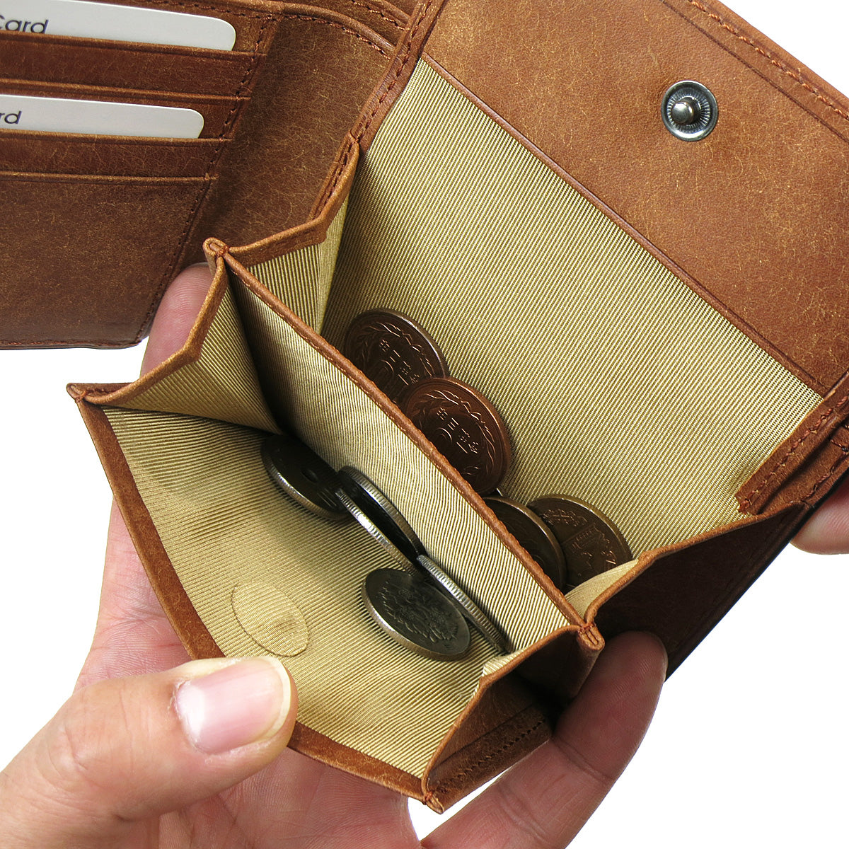 BUONA - Buona - Bifold Wallet ZYS2414