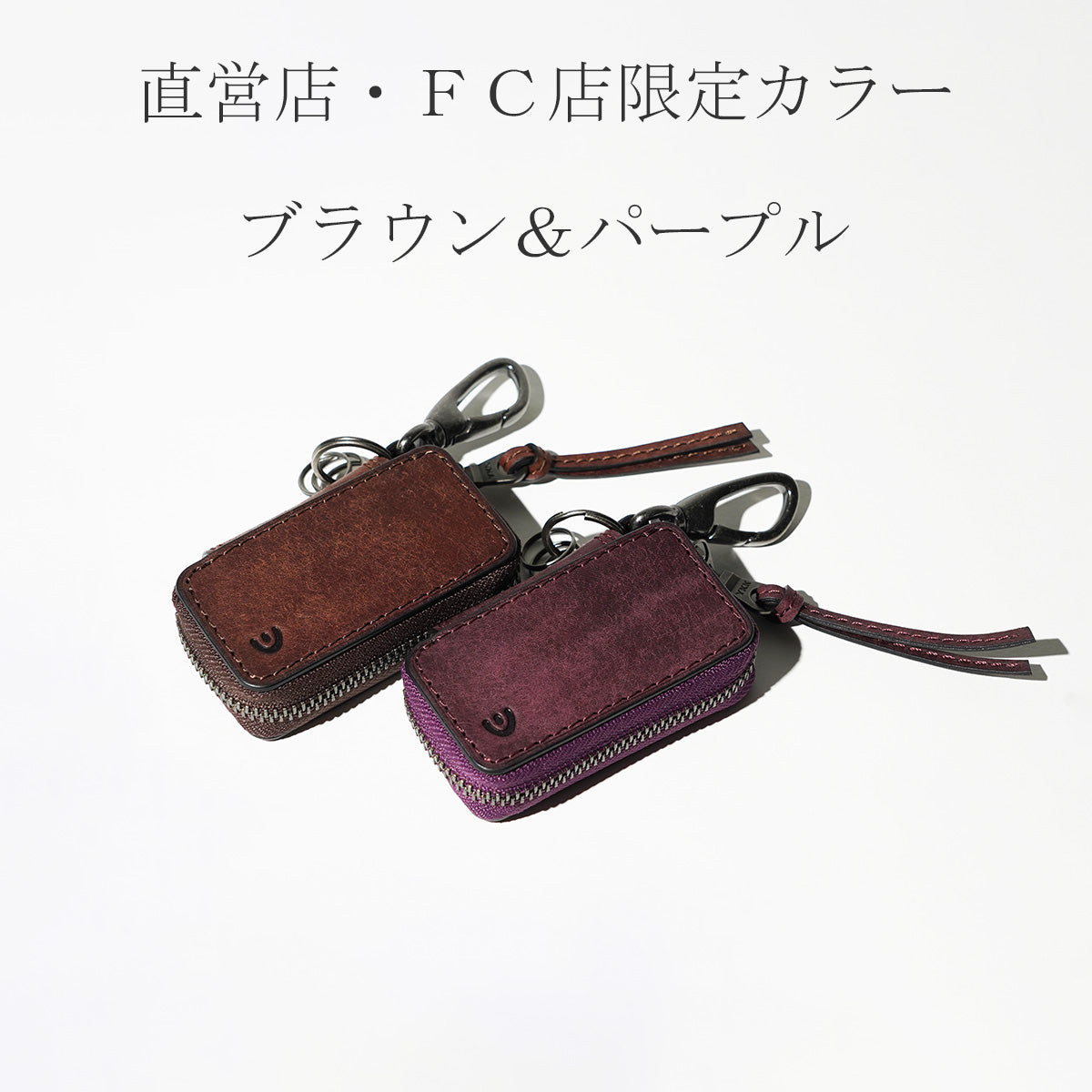BUONA Smart Key Compatible Key Holder ZYS2416